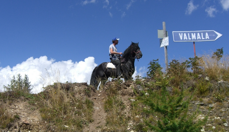 Animali in Valle Maira