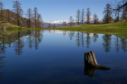 Benvenuti sul sito dell'Unione Valle Maira!